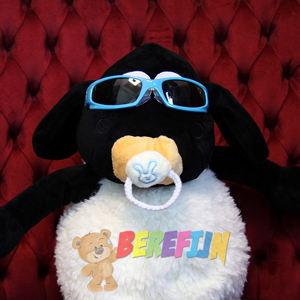 Berefijn - Teddy Mountain - Lier - accessoire - zonnebril - blauw - sunglasses - build a bear - Shaun het schaap - Timmy Tijd