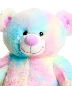 Fabriquez votre propre ours en peluche arc-en-ciel L'ours en peluche arc-en-ciel à la maison ou lors d'un moment unique et personnel sans stimuli