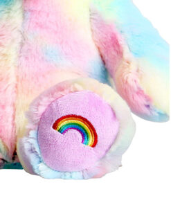 Fabriquez votre propre ours en peluche arc-en-ciel L'ours en peluche arc-en-ciel à la maison ou lors d'un moment unique et personnel sans stimuli