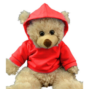 Berefijn - Teddy Mountain - Lier - kleding - trui - capuchon - build a bear workshop - Meisje Djamila - cuddles - teddybear