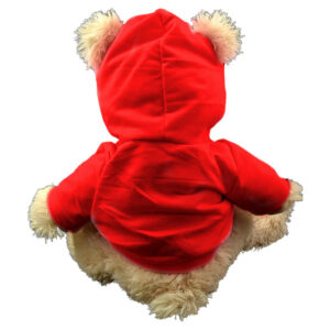 Berefijn - Teddy Mountain - Lier - kleding - trui - capuchon - build a bear workshop - Meisje Djamila - cuddles - teddybear