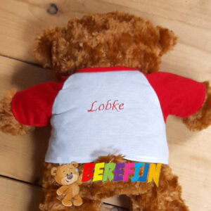Build a bear workshop - maak je eigen knuffelbeer - droomfabriek - bedrukking - personaliseren - borduren - afscheid - herinnering