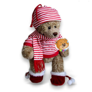 Lier - Berefijn - Build a bear workshop - kersttrui - kerstmuts - sjaal - kerst pantoffels - kerstman - kerstelf -uniek geschenk