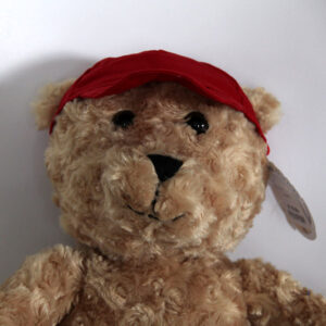 Lier - Berefijn - Build a bear workshop - cap - clack - bear cap - doll clothes - Christmas - Holiday trip - teddybear - mothers Day