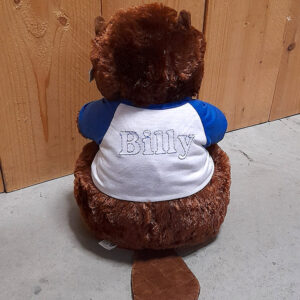 Lier - Berefijn - Build a bear workshop - maak je eigen knuffelbeer - personaliseren - borduren - bedrukken - logo - opdruk